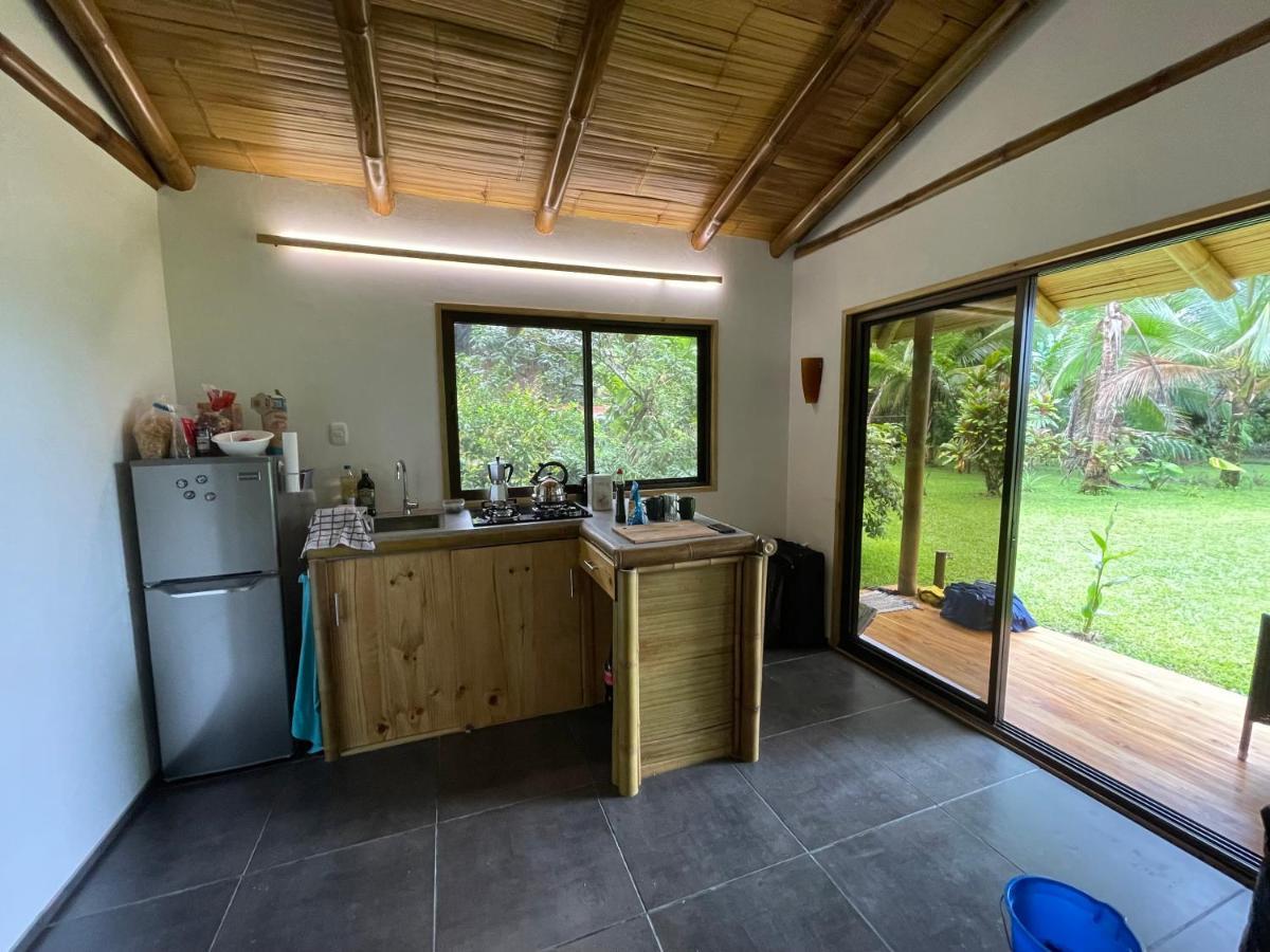 Corcovado Guest House Drake Bay Exterior photo