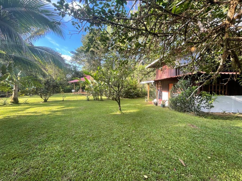 Corcovado Guest House Drake Bay Exterior photo